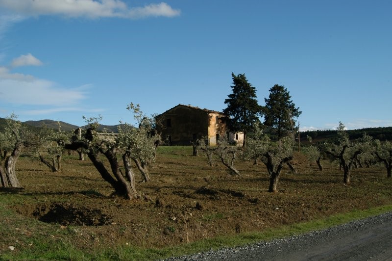 BIBBONA CAMPAGNA